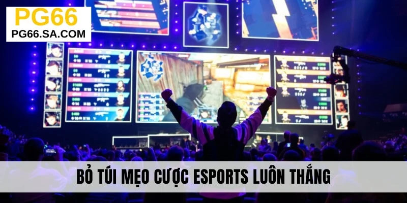 Bỏ túi mẹo cược Esports luôn thắng