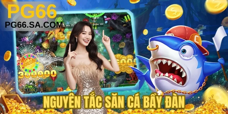 Nguyên tắc săn cá bầy đàn
